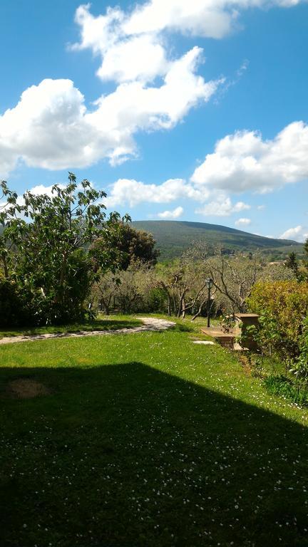Villa Borgo Montauto à San Gimignano Extérieur photo